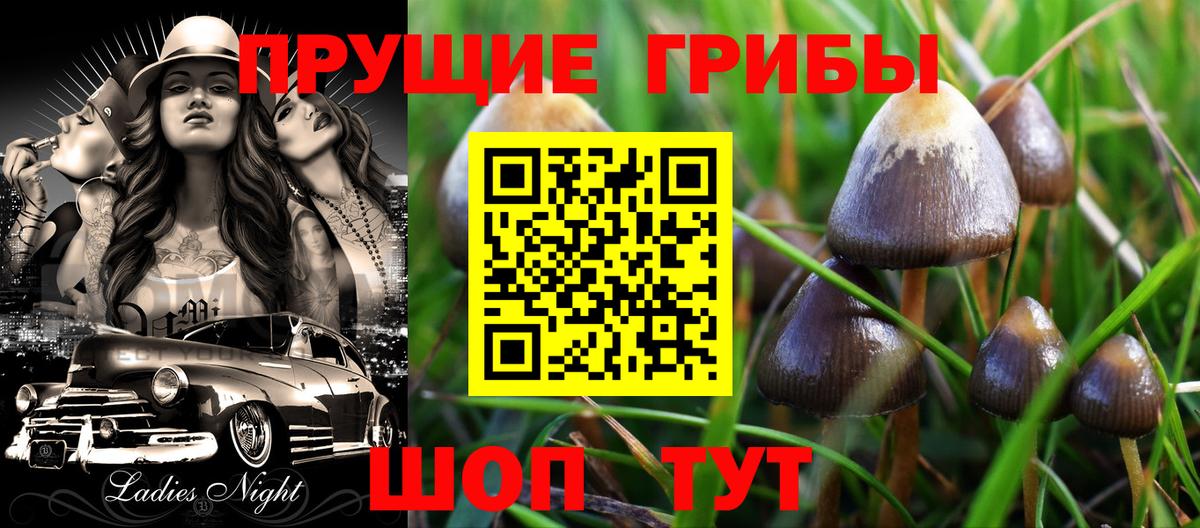 наркота  Псилоцибиновые грибы MAGIC MUSHROOMS  Вход с VPN  Шелехов 